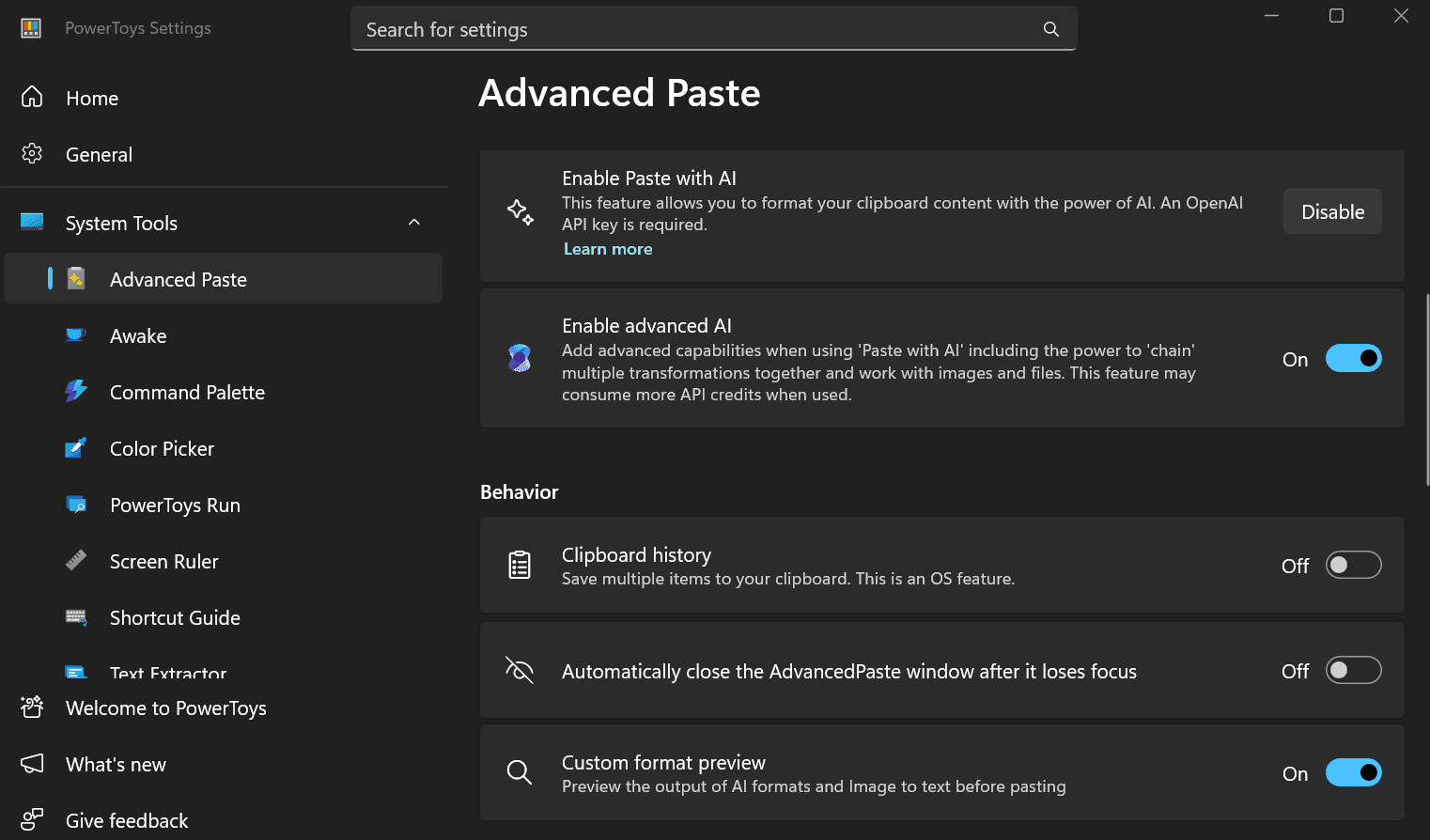 Fig. 7: Custom Format Preview (bottom) is active.